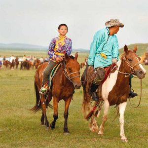 Cao ngựa Mông Cổ