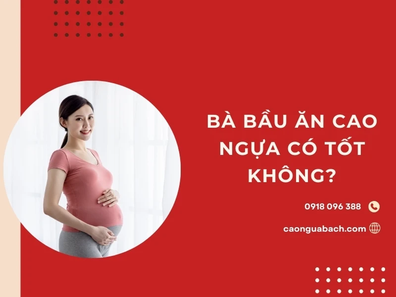 Bà bầu ăn cao ngựa có tốt không?