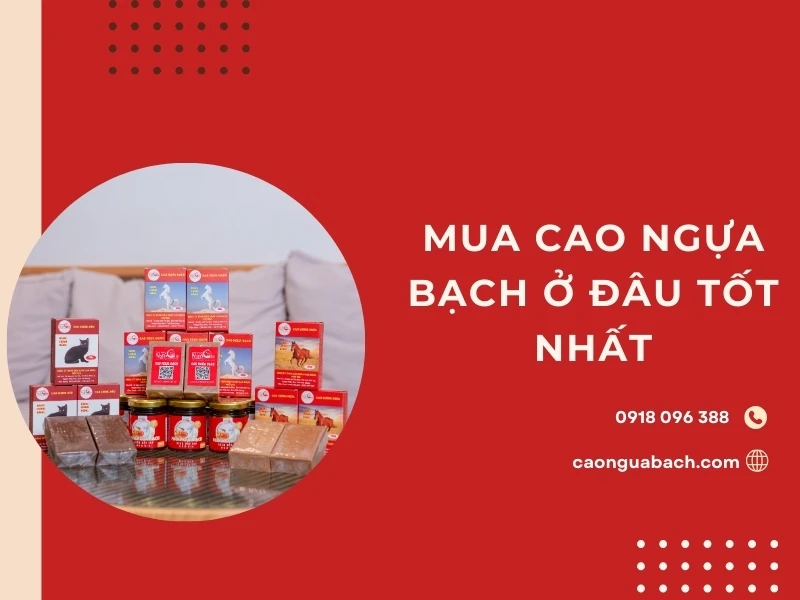 Mua cao ngựa bạch ở đâu tốt nhất?