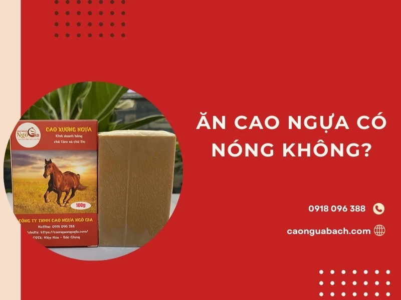 Ăn cao ngựa bạch có nóng không? 