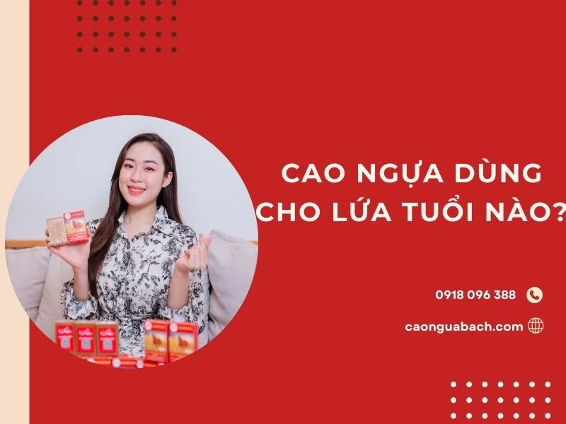 Cao ngựa dùng cho lứa tuổi nào?